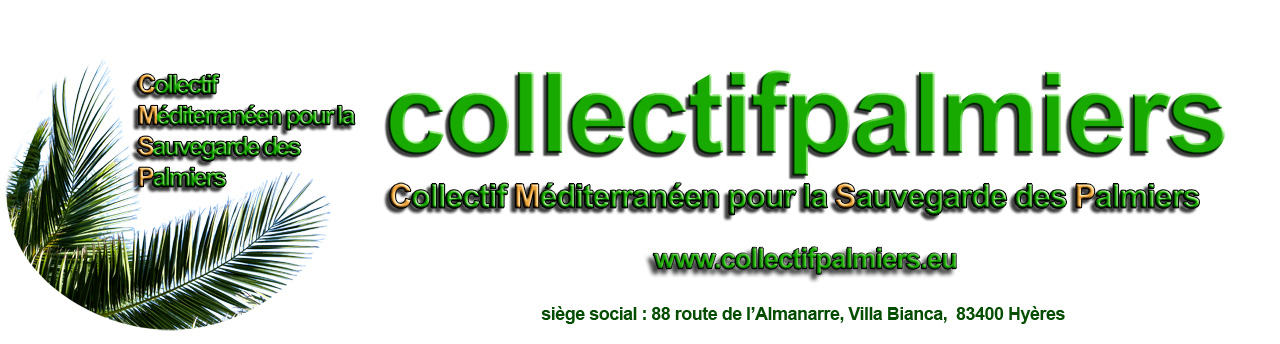 entete collectif